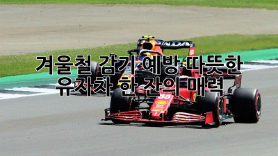 겨울철 감기 예방! 따뜻한 유자차 한 잔의 매력